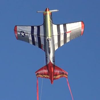 51      コタロウ Amazon.com: X-Kites WindNSun FlightZone Mustang Ripstop